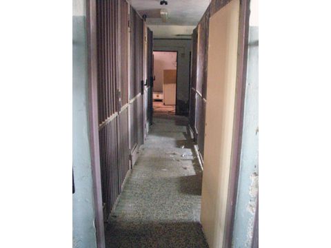 Foto 52
